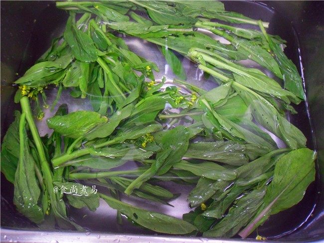 Boiled Choy Sum