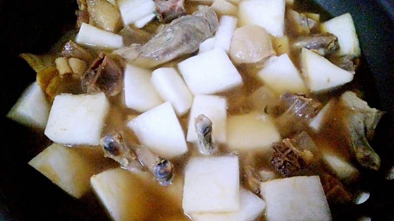 Preserved Duck Stewed with Radish