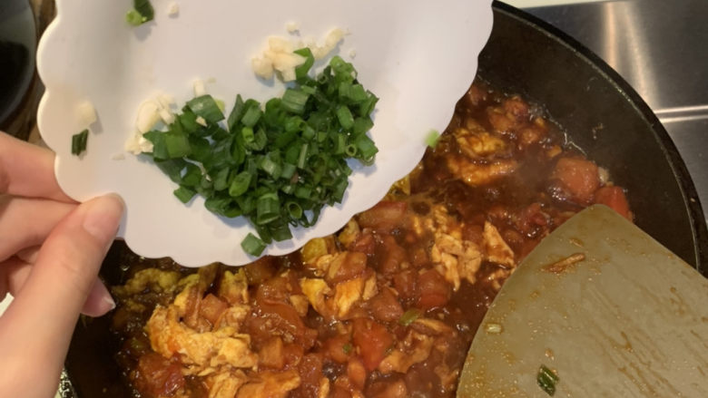 Egg and Tomato Stewed Noodles