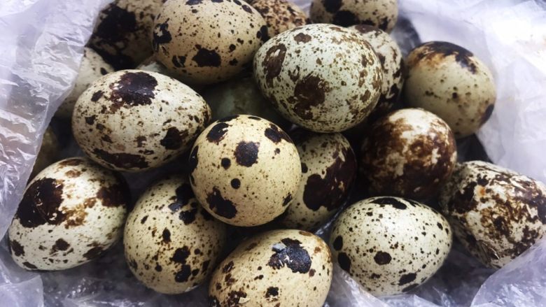 Shiitake Mushrooms and Quail Eggs