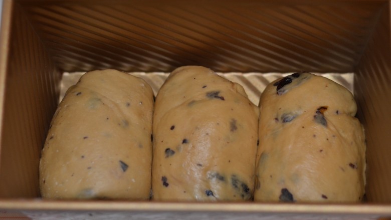 Black currant and brown sugar toast (one-time fermentation)