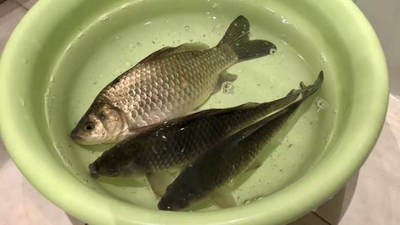 Braised crucian carp in sauce➕This year's flowers are better than last year's red