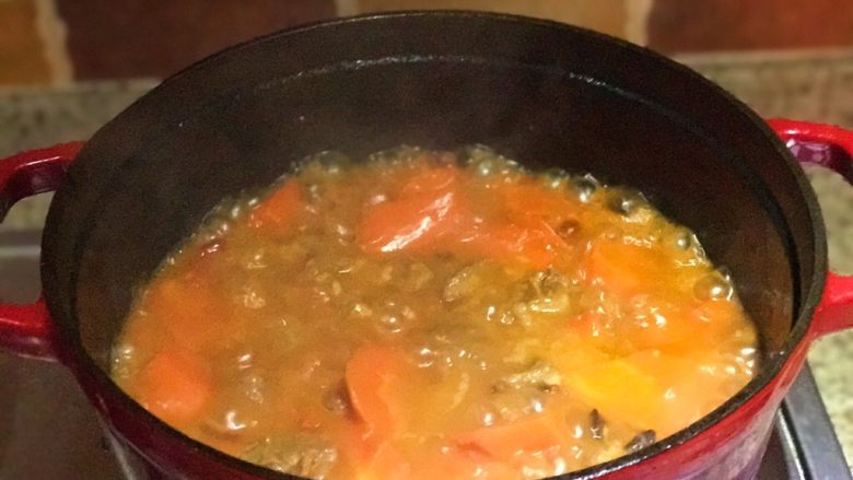 Stewed beef brisket with tomatoes and carrots, don't eat too much