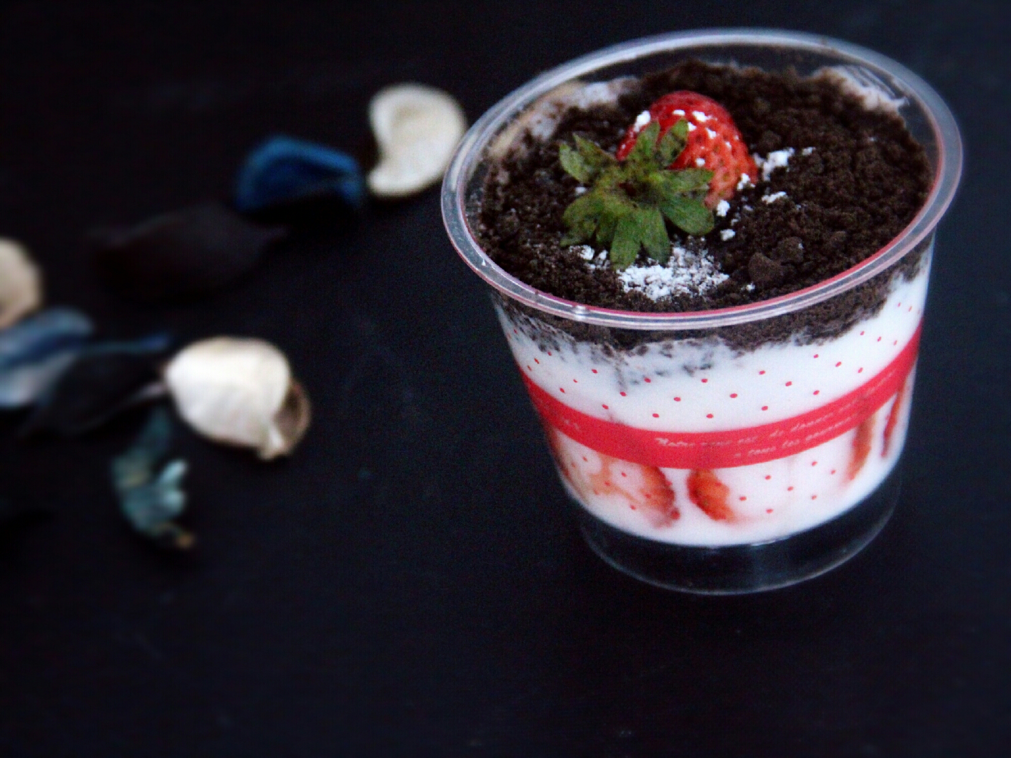 Strawberry Oreo Yogurt Potted Plant