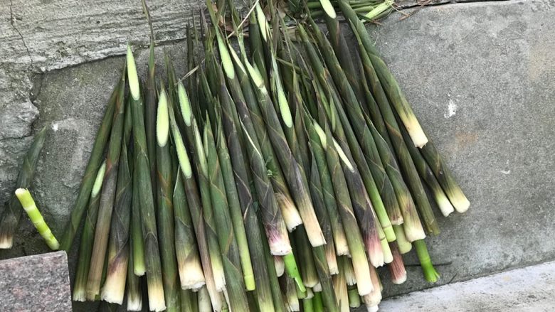 What can only be tasted in spring - roasted pork with wild bamboo shoots