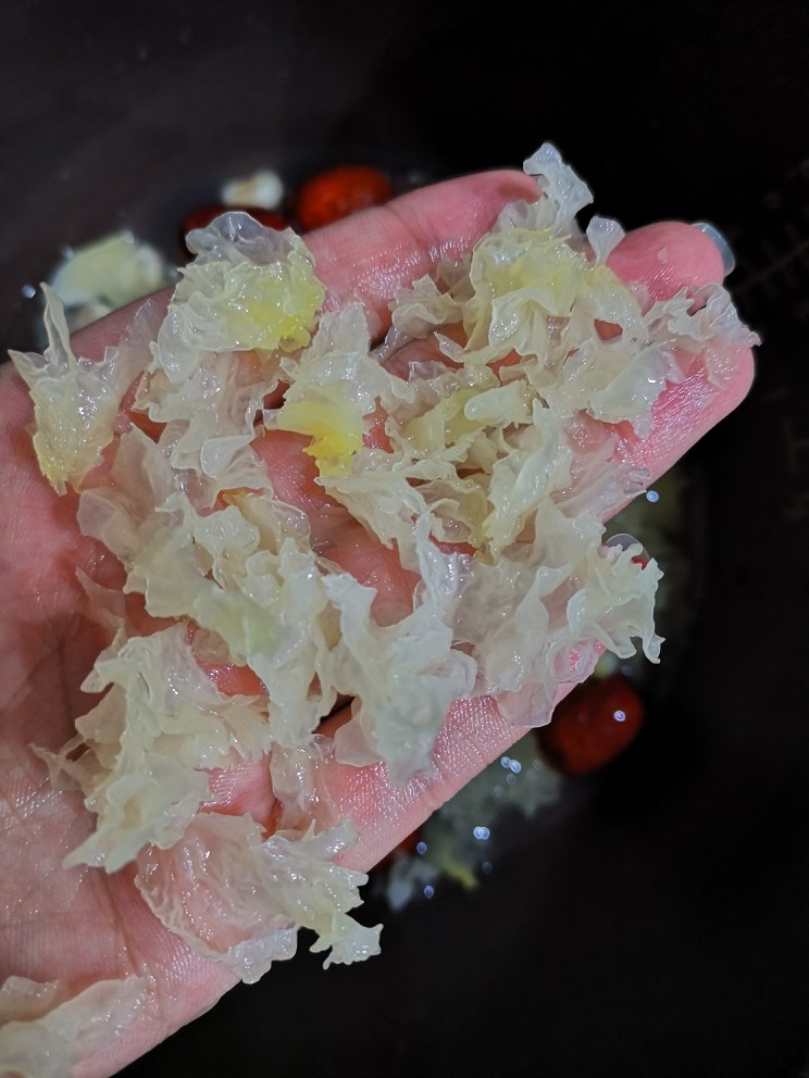 Peach gum and white fungus sweet soup