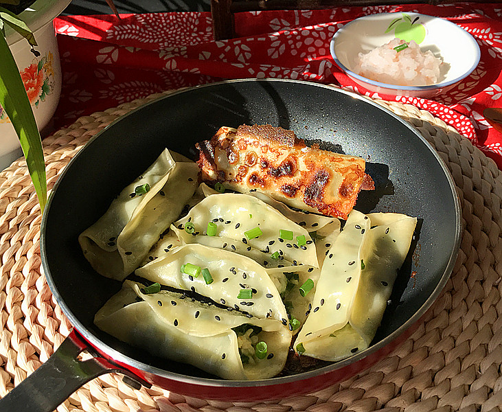 Krill and Leek Potstickers