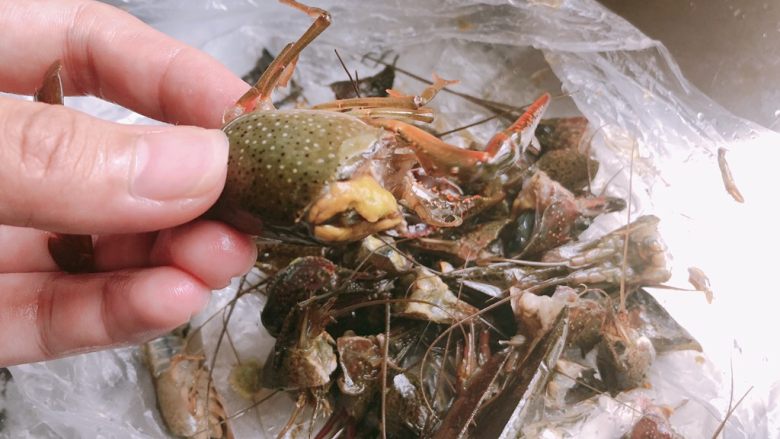 Thirteen fragrant crayfish