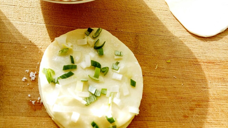 Crispy Dumpling Skin Scallion Pancake