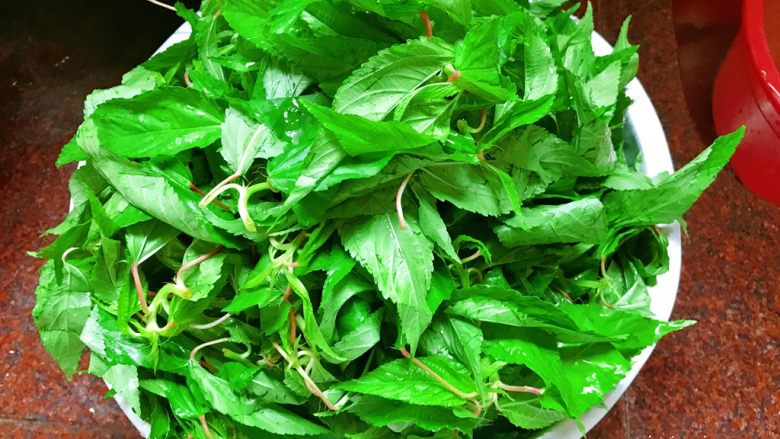 Chaoshan+fried sesame leaves