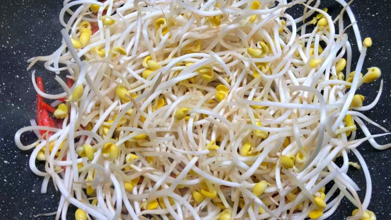 Bean sprouts and fried leeks