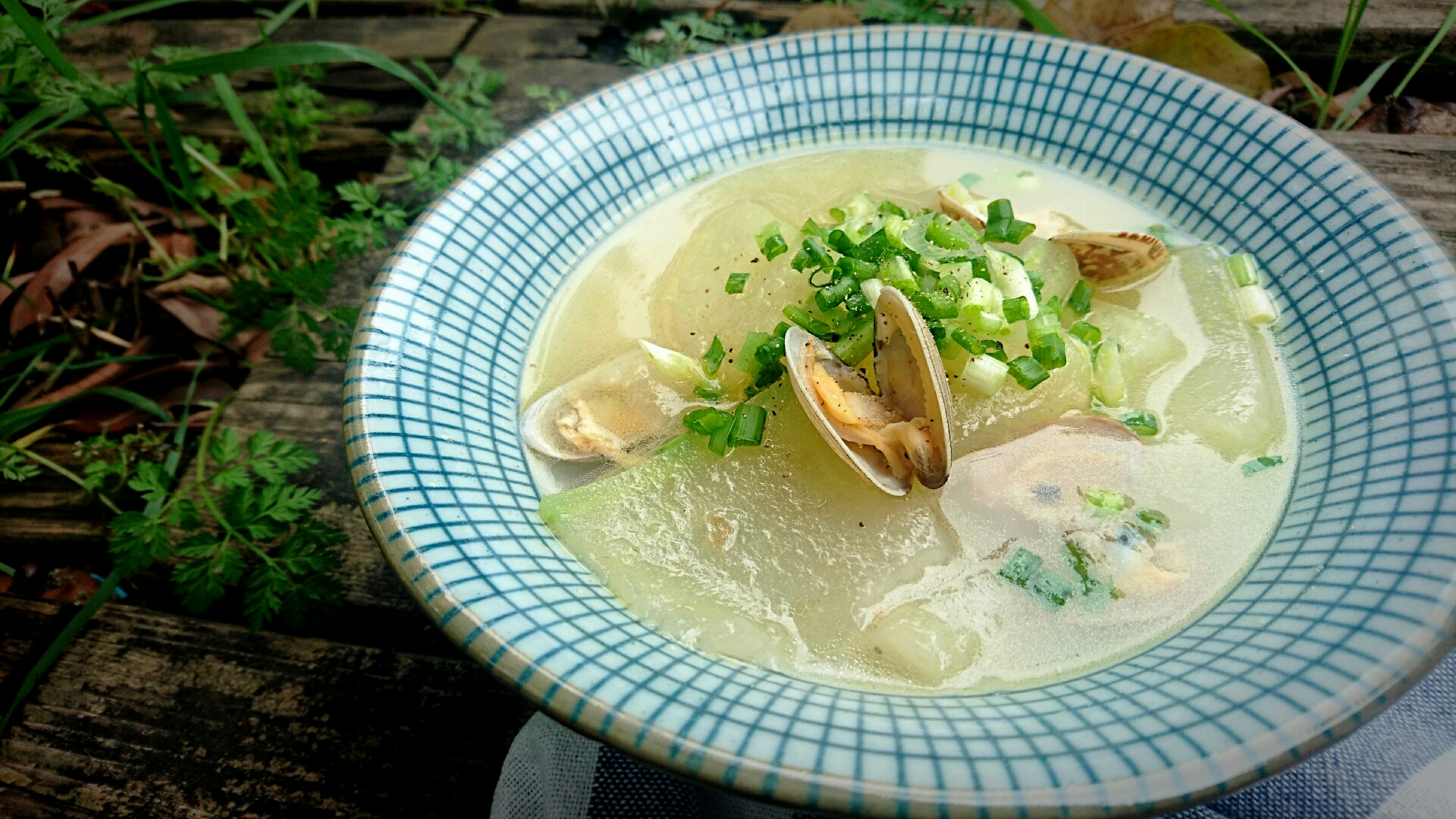 Winter Melon Clam Soup