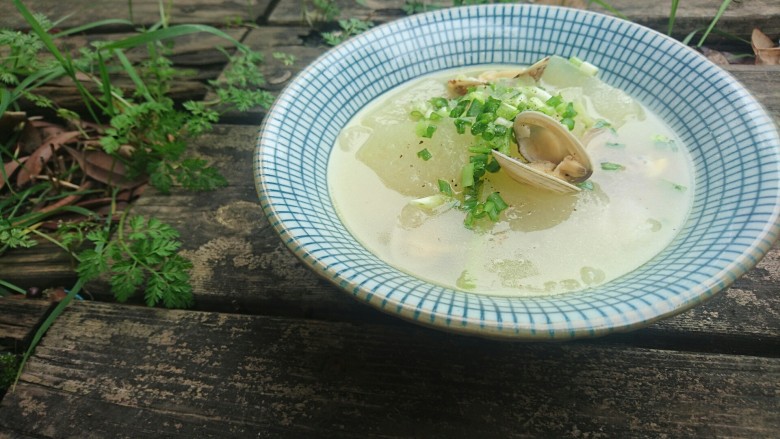 Winter Melon Clam Soup