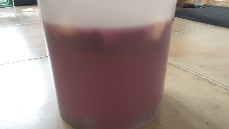 Summer Fruity Enzyme Drink