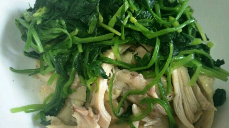 Cold Chicken and Spinach