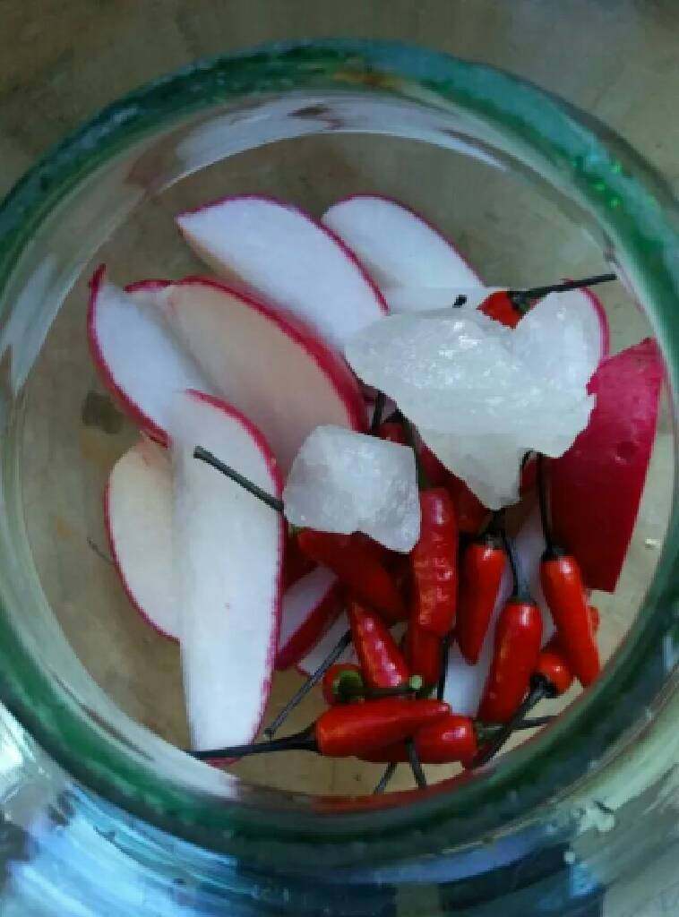 Sichuan Pickles