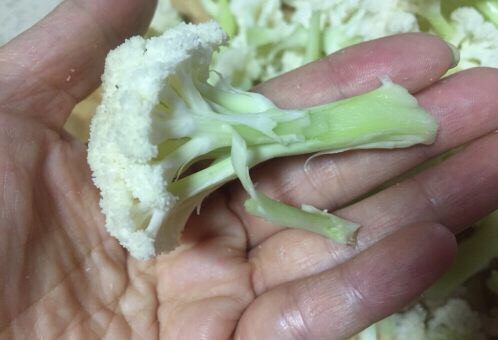 Baked Spicy Cauliflower with Ant Meat