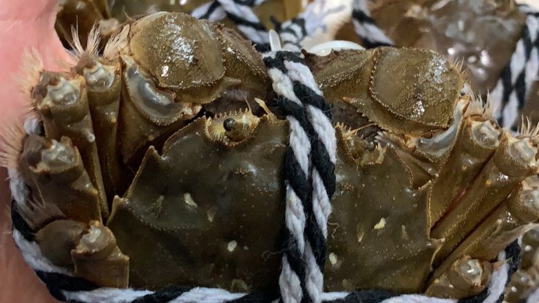 Steamed Yangcheng Lake hairy crabs