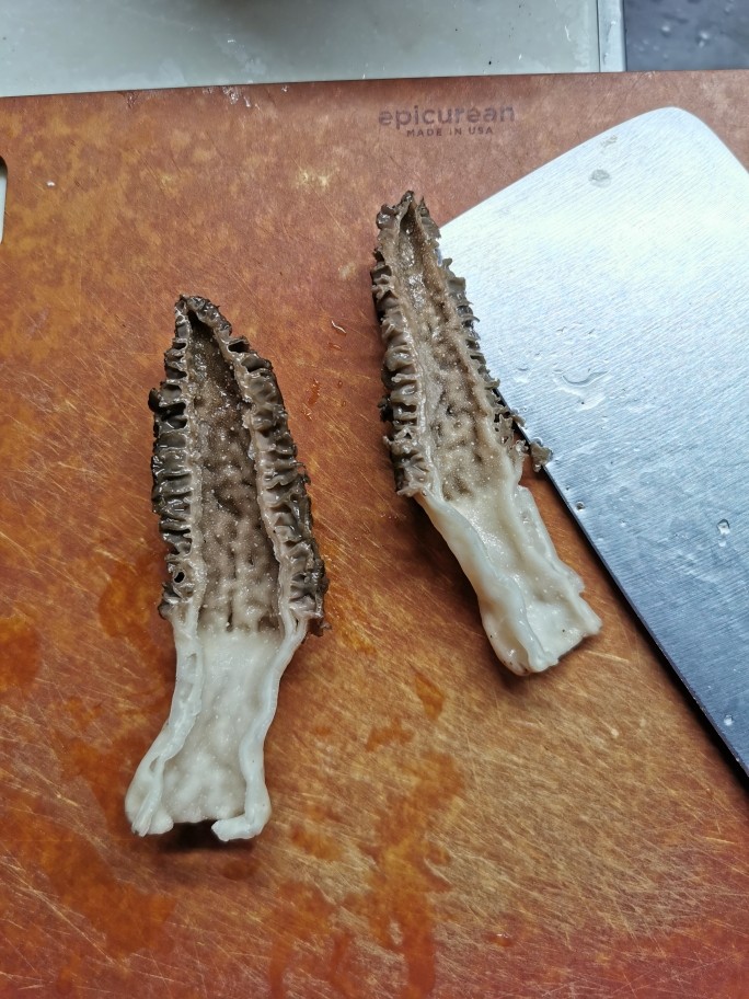 Steamed Tofu with Morels