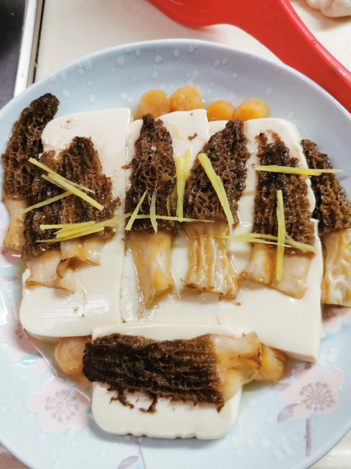 Steamed Tofu with Morels