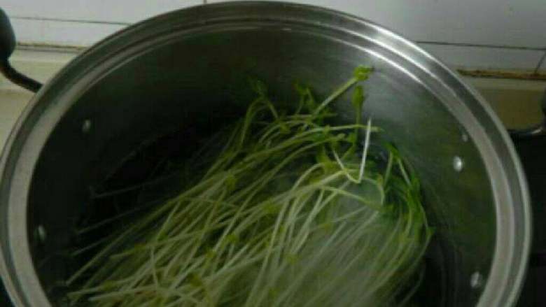 Homemade Enoki Mushrooms and Bean Sprouts