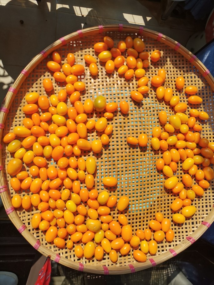 Salted kumquat [pickling method]