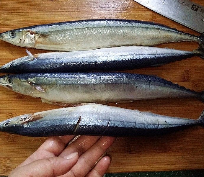 Steamed Saury with Black Bean Sauce