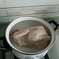 Cantonese Classic: Illustration of White-cut Chicken 2