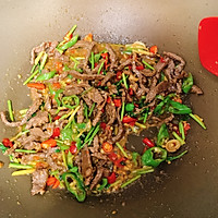 Rice Terminator~Illustration of Stir-fried Yellow Beef 11