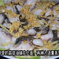 Cantonese cuisine~Illustration of steamed fish fillet with loofah 11