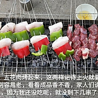 Summer Barbecue Series Illustrations 12