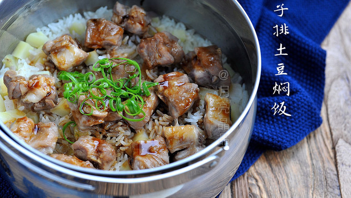 Braised pork ribs and potatoes with rice