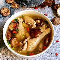 Illustration of how to make mushroom stewed chicken soup 11