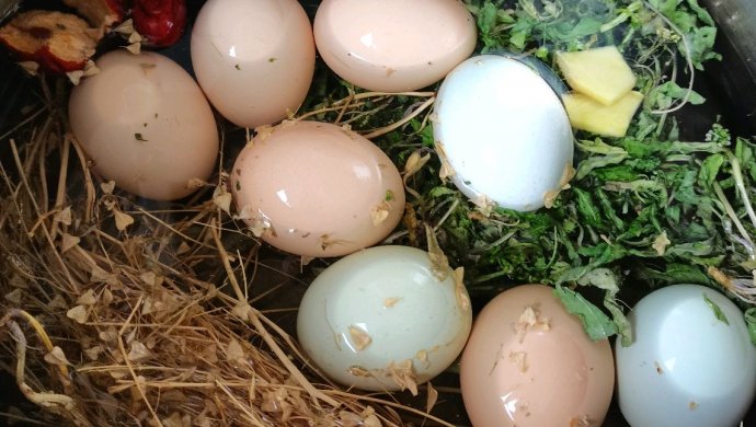 Tomb Sweeping Day shepherd's purse boiled eggs