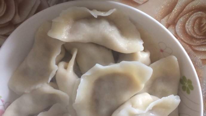 Lamb and cabbage stuffed dumplings