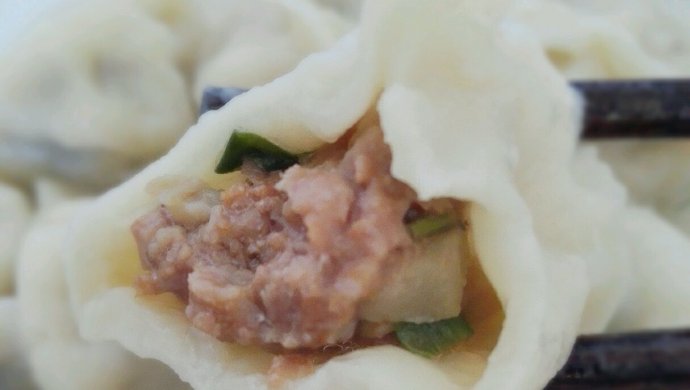 Eggplant Meat Dumplings