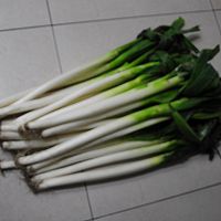 Illustration of how to store green onions in winter 6