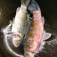 Illustration of how to make Mianyin Chen Bao Crucian Carp Soup 2