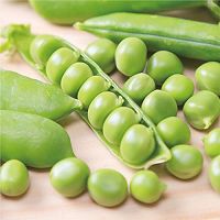 Spring snacks: Illustration of how to cook fresh peas in salt water 1