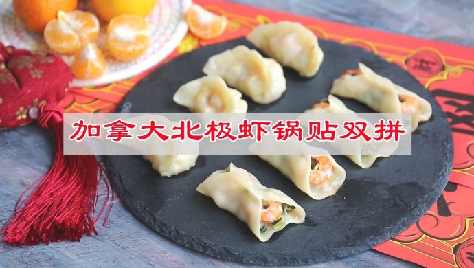 Canadian Arctic Shrimp Potstickers Double Combo