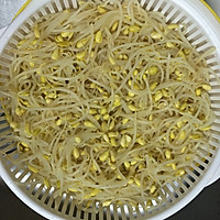 Korean cold bean sprouts recipe illustration 3