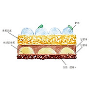 Celebrity Chef Dessert Banana Cut Cake Illustration 16