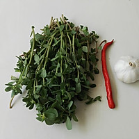 Illustration of how to make cold purslane# singled out in summer# 1 