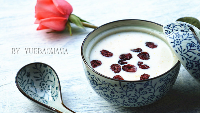 Honey Oatmeal Cranberry Porridge