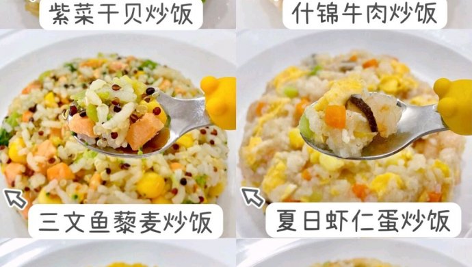 A collection of unique summer nutritious fried rice