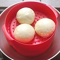 Illustration of home-made white flour steamed buns 13