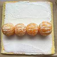 Orange Cake Roll Recipe Illustration 24