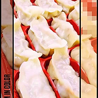 Dumpling wrapper, wonton wrapper (bread machine version) dumpling filling, Illustration of how to cook cute dumplings 5