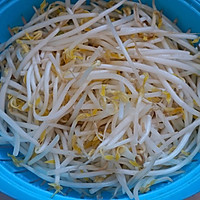 Vinegar Bean Sprouts Recipe Illustration 1