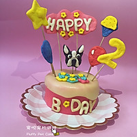 Pet Birthday Cake Pet Cake Cat Cake Dog Cake Recipe Illustration 1 